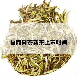 福鼎白茶新茶上市时间