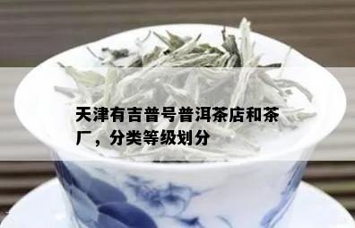 天津有吉普号普洱茶店和茶厂，分类等级划分