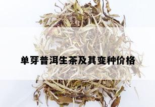 单芽普洱生茶及其变种价格