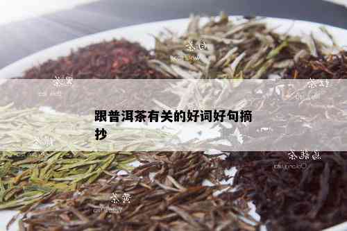 跟普洱茶有关的好词好句摘抄