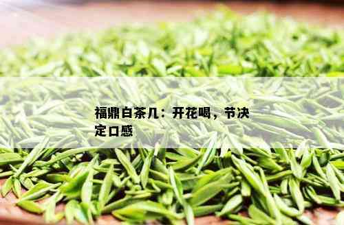 福鼎白茶几：开花喝，节决定口感