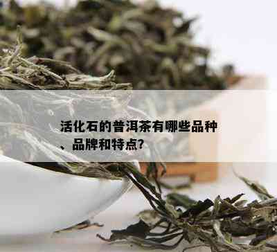 活化石的普洱茶有哪些品种、品牌和特点？