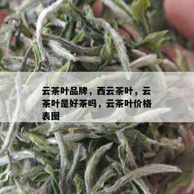 云茶叶品牌，西云茶叶，云茶叶是好茶吗，云茶叶价格表图