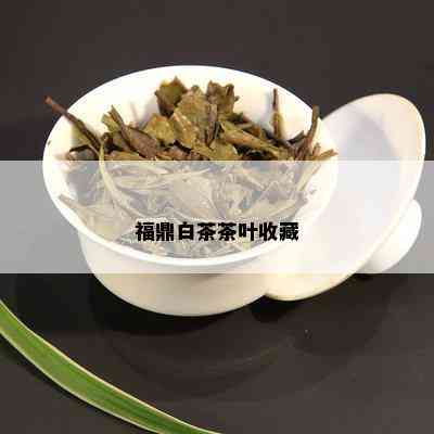 福鼎白茶茶叶收藏