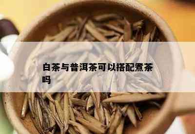 白茶与普洱茶可以搭配煮茶吗