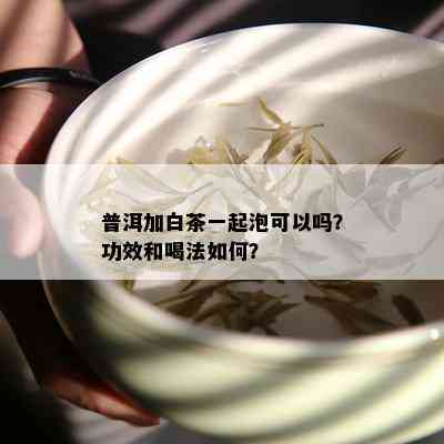 普洱加白茶一起泡可以吗？功效和喝法如何？