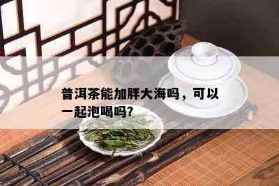 普洱茶能加胖大海吗，可以一起泡喝吗？