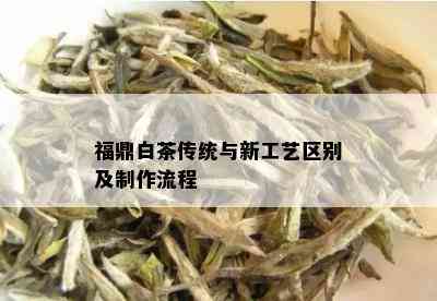 福鼎白茶传统与新工艺区别及制作流程