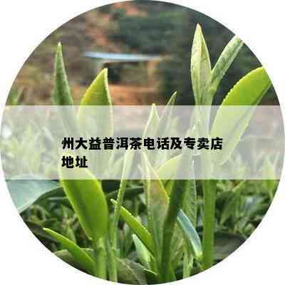 州大益普洱茶电话及专卖店地址