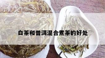 白茶和普洱混合煮茶的好处