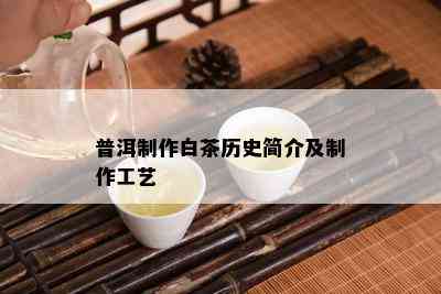 普洱制作白茶历史简介及制作工艺