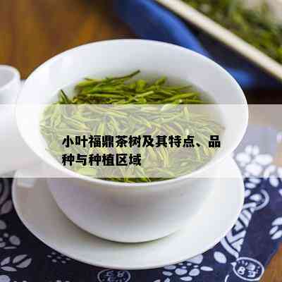 小叶福鼎茶树及其特点、品种与种植区域