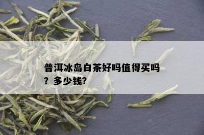 普洱冰岛白茶好吗值得买吗？多少钱？