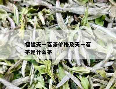 福建天一茗茶价格及天一茗茶是什么茶