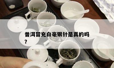 普洱冒充白毫银针是真的吗？