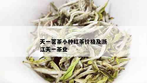 天一茗茶小种红茶价格及浙江天一茶业