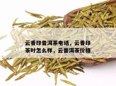 云香印普洱茶电话，云香印茶叶怎么样，云普洱茶价格