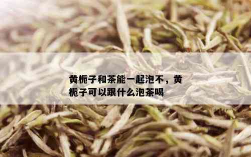 黄栀子和茶能一起泡不，黄栀子可以跟什么泡茶喝