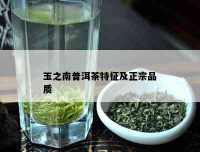 玉之南普洱茶特征及正宗品质