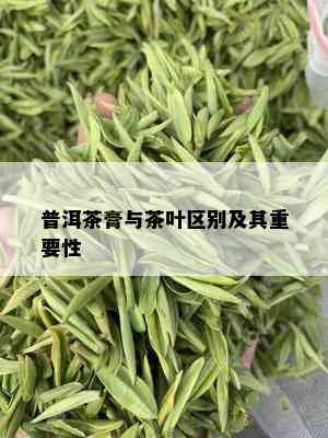 普洱茶膏与茶叶区别及其重要性