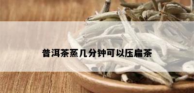 普洱茶蒸几分钟可以压扁茶