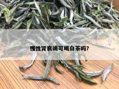 慢性肾衰竭可喝白茶吗？