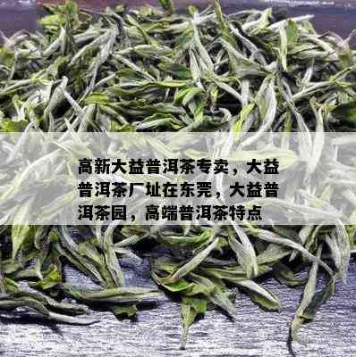 高新大益普洱茶专卖，大益普洱茶厂址在东莞，大益普洱茶园，高端普洱茶特点