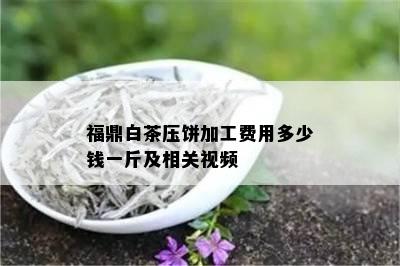 福鼎白茶压饼加工费用多少钱一斤及相关视频