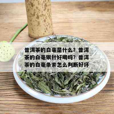 普洱茶的白毫是什么？普洱茶的白毫银针好喝吗？普洱茶的白毫条索怎么判断好坏？