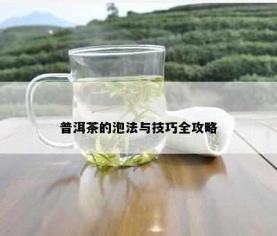 普洱茶的泡法与技巧全攻略