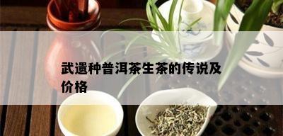 武遗种普洱茶生茶的传说及价格