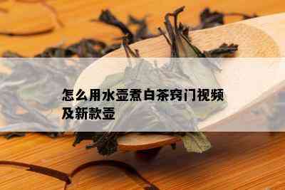 怎么用水壶煮白茶窍门视频及新款壶