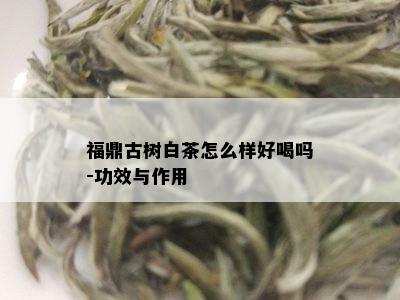 福鼎古树白茶怎么样好喝吗-功效与作用