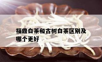 福鼎白茶和古树白茶区别及哪个更好