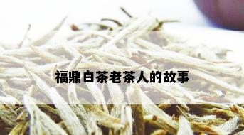 福鼎白茶老茶人的故事