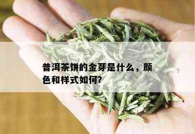 普洱茶饼的金芽是什么，颜色和样式如何？