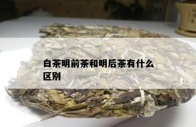 白茶明前茶和明后茶有什么区别