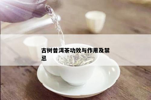 古树普洱茶功效与作用及禁忌