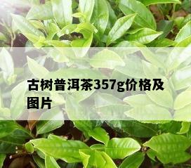 古树普洱茶357g价格及图片