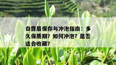 白露眉保存与冲泡指南：多久保质期？如何冲泡？是否适合收藏？