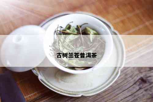 古树兰苍普洱茶