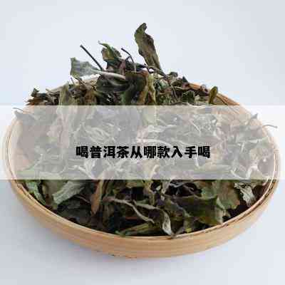 喝普洱茶从哪款入手喝