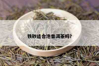 铁砂适合泡普洱茶吗？