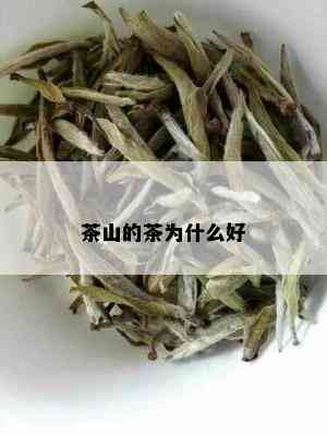 茶山的茶为什么好