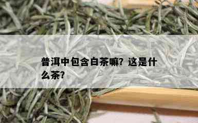 普洱中包含白茶嘛？这是什么茶？