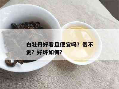 白牡丹好看且便宜吗？贵不贵？好坏如何？