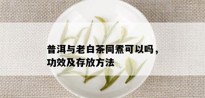 普洱与老白茶同煮可以吗，功效及存放方法