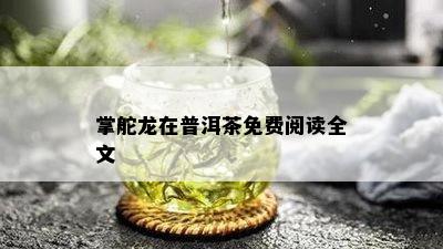 掌舵龙在普洱茶免费阅读全文