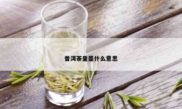 普洱茶皇是什么意思