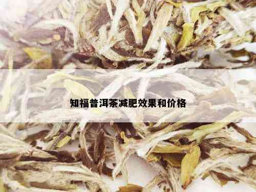 知福普洱茶减肥效果和价格